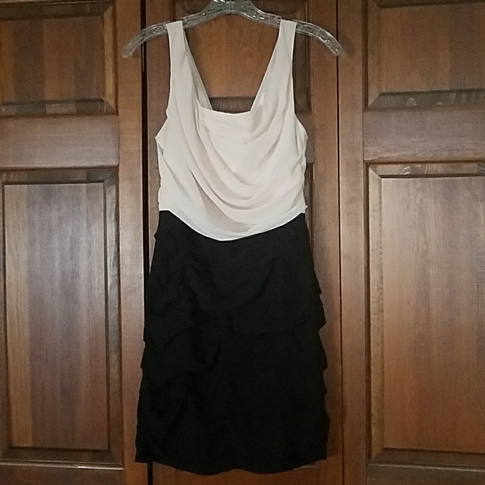 Express Short Dress